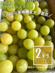 長野産生プルーン サンタス 1kg 農家直送- メルカリ