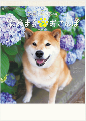 柴犬まるとおさんぽカレンダー 　2025年 カレンダー カレンダー2025　令和7年　壁掛けカレンダー　いぬ　犬カレンダー　12ヶ月