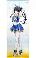 希少　レア　俺ガイル　特賞タペストリー　夕陽のモデル　きゃらっとくじ　雪ノ下雪乃 俺ガイル」雪ノ下雪乃が制服を脱いで妖艶なミニドレス姿に― 気品