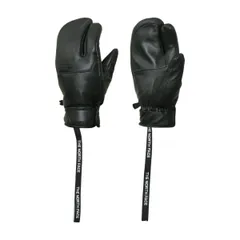 ノースフェイス THE NORTH FACE レイバッグトリガー ユニセックス スキー スノーボード グローブ 3フィンガー レザー 防水透湿 中わた スノーグローブ BLACK