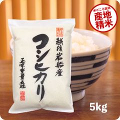 米 岩船産コシヒカリ5kg お米 令和5年産 白米