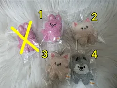 SKZOO マイクロ キーリング FoxI.Ny DWAEKKI(トゥエッキ) Wolf Chan