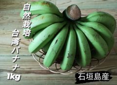 石垣島産　台湾バナナ(自然栽培) 1kg
