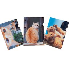 simabossneko's shop - メルカリShops simabossneko's shop - メルカリShops