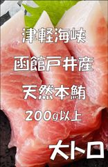 天然本マグロ　刺身用　大トロ　200ｇ以上【津軽海峡　函館　戸井産　本鮪】刺身用冷凍品【送料込】