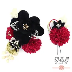 髪飾り 成人式 振袖 袴 花 黒 赤 ゴールド 組紐 ベロア リーフモチーフ 大きい 小さい 2点セット 着物 和装 かんざし コーム U No.12-0769