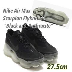 2025年最新】nike air max scorpion flyknitの人気アイテム