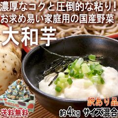 大和芋 やまといも 約4kg サイズ混合 千葉県産 国産野菜 お求めやすい家庭用の山芋！とろろ蕎麦やご飯に最適な圧倒的粘り