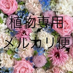 植物専用 メルカリ便