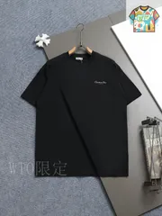 【今日WTO】DIOR 260g Letter 小ロゴスズランプリント T-YD33
