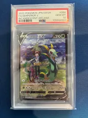 本日のみ値下げ ジャローダV CSR PSA10　最安値 ？ ジャローダv csr psa10 - メルカリ