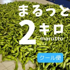 6/13発送　初だるま【クール便】枝豆　まるっと2キロ　全部もぎ☆お得(1キロ×2袋)　産地直送　大川ファーム