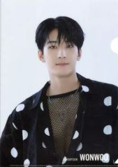 [중고] 클리어 파일 원우 A4 클리어 파일 [플랫 가샤폰 SVT 클리어 파일 컬렉션 vol.2 From PLEDIS ENTERTAINMENT SEVENTEEN]