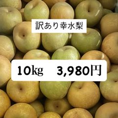 大特価！！　幸水梨　訳あり　10㎏のサムネイル