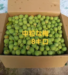青梅　4キロ goziro-munouyaku_288x.webp?v=