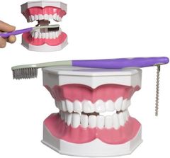 Item thumbnail for item 914d271e-ede3-4b29-b843-e9265e10d228