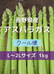 長野県産 アスパラガス L〜2Lサイズ 1kg