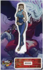 2026年最新】春麗 ZEROの人気アイテム - メルカリ