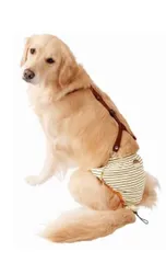 介護用オムツパンツ 大型犬用のサムネイル