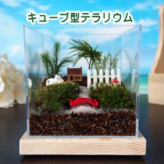【苔テラリウム・手作りキット一式】キューブ型