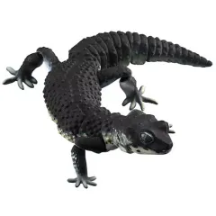 【中古】トレーディングフィギュア ブラックナイト 「いきもの大図鑑アドバンス ヒョウモントカゲモドキ」のサムネイル