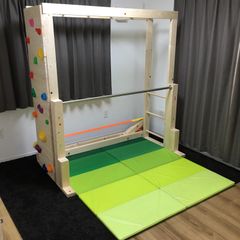 15　うんていタイプA 側面半分ボルダリング　鉄棒　ブランコ　テーブル 遊びが運動！ 折りたたみ ブランコ鉄棒 ワールド 野中製作所