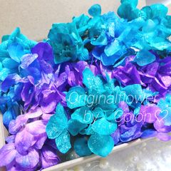 ギャラクシーゆめあじさい❁.。*　プリザーブドフラワー　花材