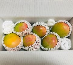 沖縄県産キーツマンゴー　3kg