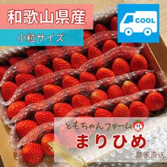 まりひめ いちご 大粒(箱込み約750g×3) 13日発送 苺 イチゴ 和歌山ブランド まりひめ苺 700g 朝採り新鮮- メルカリ