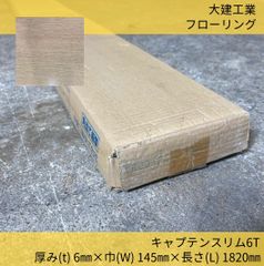 床材／フローリング／大建工業／ダイケン／YR09-FA／キャプテンスリム6T／ネオテクWPCフロアー／6枚