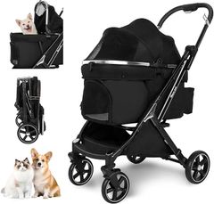 Item thumbnail for item 1670a2bd-98ea-43cf-abf6-aa85276dfee8