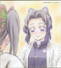 【中古】紙製品 胡蝶しのぶ 「鬼滅の刃 全集中展 刀鍛冶の里編・柱稽古編 作画スタッフ全集中複製ミニ色紙 C」