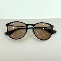 レイバン Ray Ban ERIKA METAL エリカ メタル EVOLVE エヴォルヴォ 調光レンズ サングラス RB3539 B-37