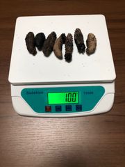 工場直売　関西産　A級品 乾燥赤なまこ  100g7本(計量時100g7本)