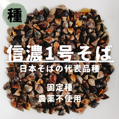 【種】そば　信濃一号　農薬不使用　300粒
