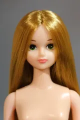 ♥箱無し・新品♥ジェニーフレンドシオン　フルポーズボディー黒髪ストレートシオン ♥箱無し・新品♥ジェニーフレンドシオン フルポーズボディー