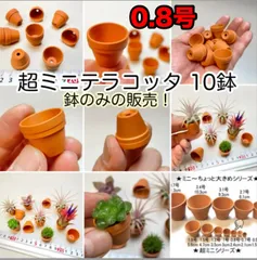 2025年最新】プラ鉢 リメイクの人気アイテム - メルカリ