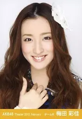 2025年最新】梅田彩佳 生写真の人気アイテム - メルカリ