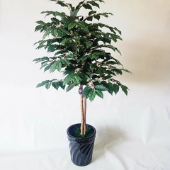 コーヒーの木（造花)【高160×幅75】光触媒コーティング
