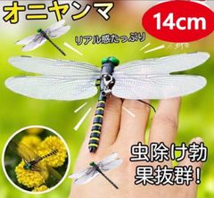 Item thumbnail for item 01ac05c5-c145-4091-a7f9-abbb336c4085