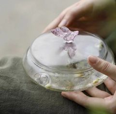 中国茶器　水出し茶壺（冷泡茶壺）