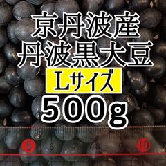 丹波黒大豆 Lサイズ 500g 新豆