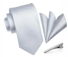 【新着商品】[HISDERN] A3-01 結婚式 シルバー ネクタイ チーフ タイクリップ 3点セット 幅8.5cm メンズ ブランド ギフト ボックス付き 冠婚葬祭 婚礼用 礼服用 紳士用 新郎 12柄