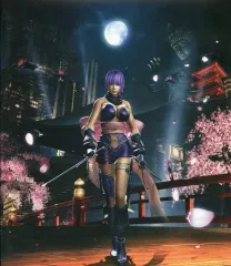 【中古】ゲームミュージックCD NINJA GAIDEN Σ2 OFFICIAL SOUNDTRACK