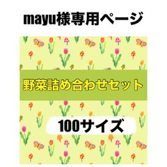mayu様専用ページ‼️おまかせ野菜詰め合わせセット100‼️