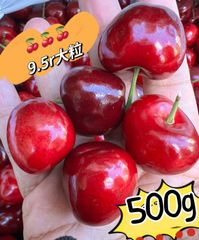 常温便9.5r超大粒アメリカンチェリー2kg 車厘子 果物　フルーツ　さくらんぼ 超大粒！9.5r アメリカンチェリー500g 車厘子 フルーツ さくらんぼ