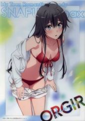 [중고] 포스터 A3 클리어 포스터 유키노시타 유키노 [캬라토쿠지 역시 나의 청춘 러브 쌀은 틀렸다. 완~짱지·쿠로즈!~] G상