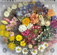 ドライフラワー花材(花かご)