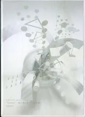 DVD2枚 / 嵐 / Arashi 10~11 tour "Scene"~君と僕の見ている風景～Dome+ / G00032653