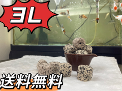 高品質納豆菌パワーリング3L